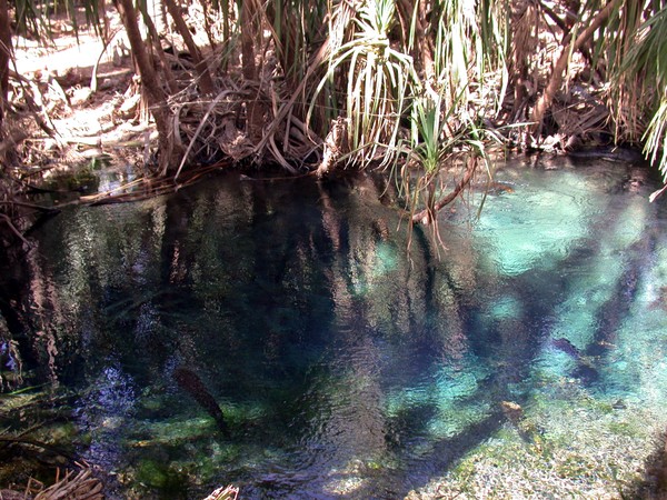 Rainbow Spring